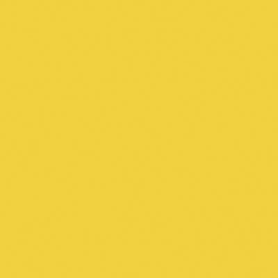 Railroad Color Acrylic Paints - 2oz 59.1mL -- Florida East Coast Modern Yellow, All Scales, Tru-Color Paint 2321