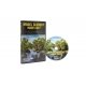 DVD -- Model Scenery Made Easy, All Scales, Woodland Scenics 973