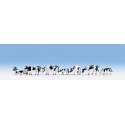Cows -- Black & White pkg(7), HO, Noch Gmbh & Co 15721