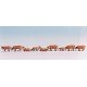 Cows -- Tan pkg(9), N, Noch Gmbh & Co 36722