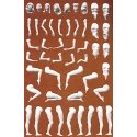 Customizing Figure Sets -- `Eve` Female Figures pkg(6), G, Preiser Kg 45901