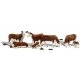 Hereford Cows - Scenic Accents(R) -- pkg(7), O, Woodland Scenics 2767