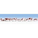 Cows -- Brown & White pkg(9), N, Noch Gmbh & Co 36723
