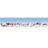 Cows -- Brown & White pkg(9), N, Noch Gmbh & Co 36723