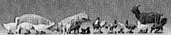 Animals -- Set of Small Animals, N, Preiser Kg 79093