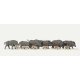 Wild Pigs/Boar - Economy Series -- pkg(12), HO, Merten 215028