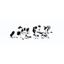 Scenic Accents(R) Animal Figures -- Holstein Cows pkg(7), O, Woodland Scenics 2724