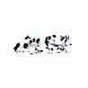 Scenic Accents(R) Animal Figures -- Holstein Cows pkg(7), O, Woodland Scenics 2724