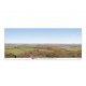 Backscene Photographic Background 95 x 13′ 240 x 33.3cm -- Countryside, All Scales, Peco SKP04