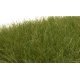 Static Grass - Field System -- Dark Green - 1/2′ 12mm Fibers, All Scales, Woodland Scenics 625