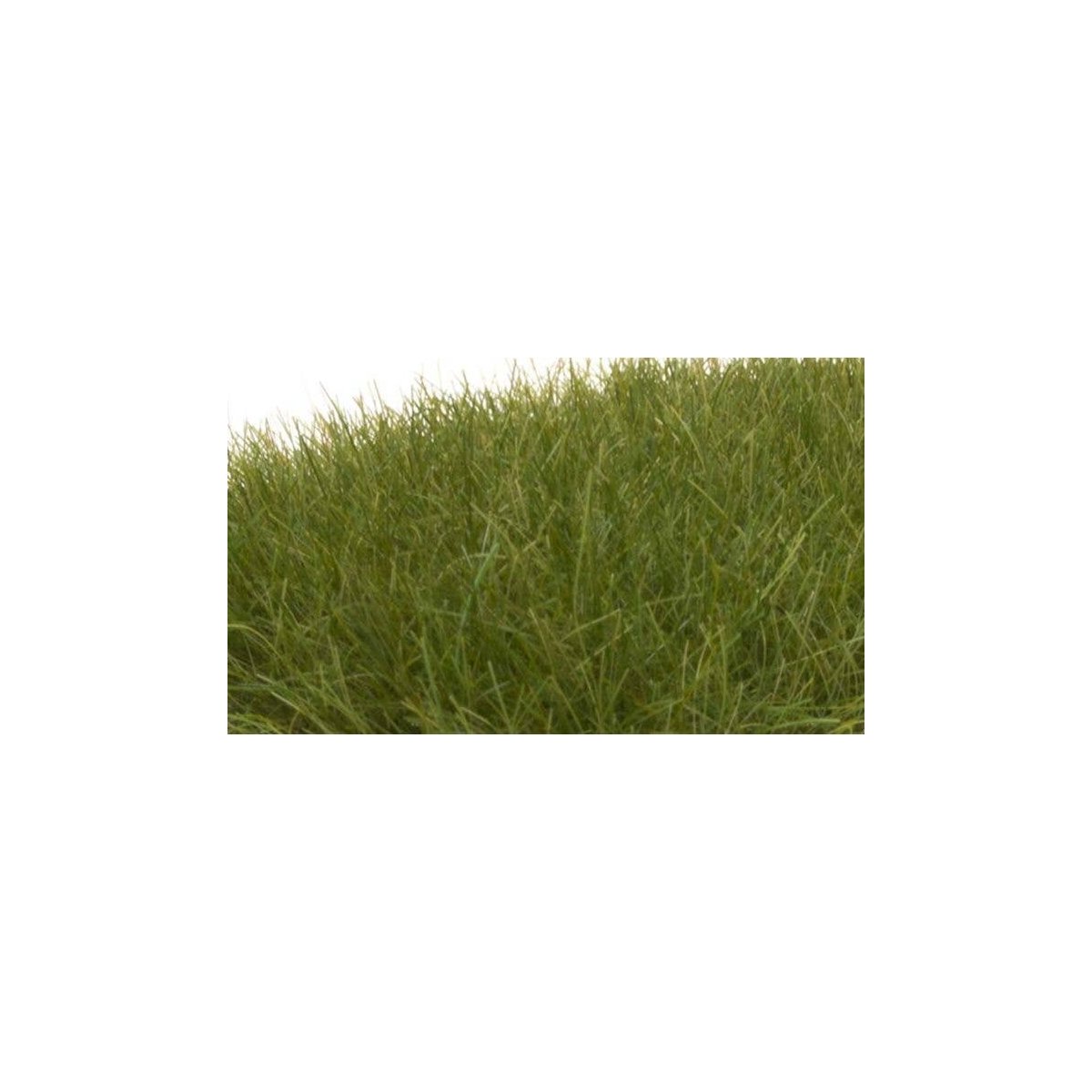 Static Grass - Field System -- Dark Green - 1/2′ 12mm Fibers, All Scales, Woodland Scenics 625