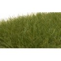 Static Grass - Field System -- Dark Green - 1/2′ 12mm Fibers, All Scales, Woodland Scenics 625