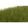 Static Grass - Field System -- Dark Green - 1/2′ 12mm Fibers, All Scales, Woodland Scenics 625