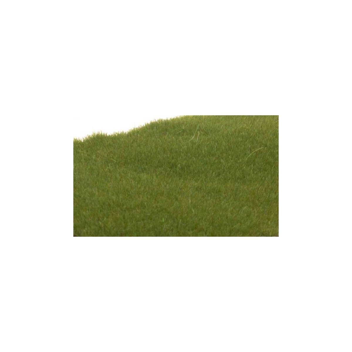 Static Grass - Field System -- Dark Green Fibers - 1/16′ 2mm, All Scales, Woodland Scenics 613