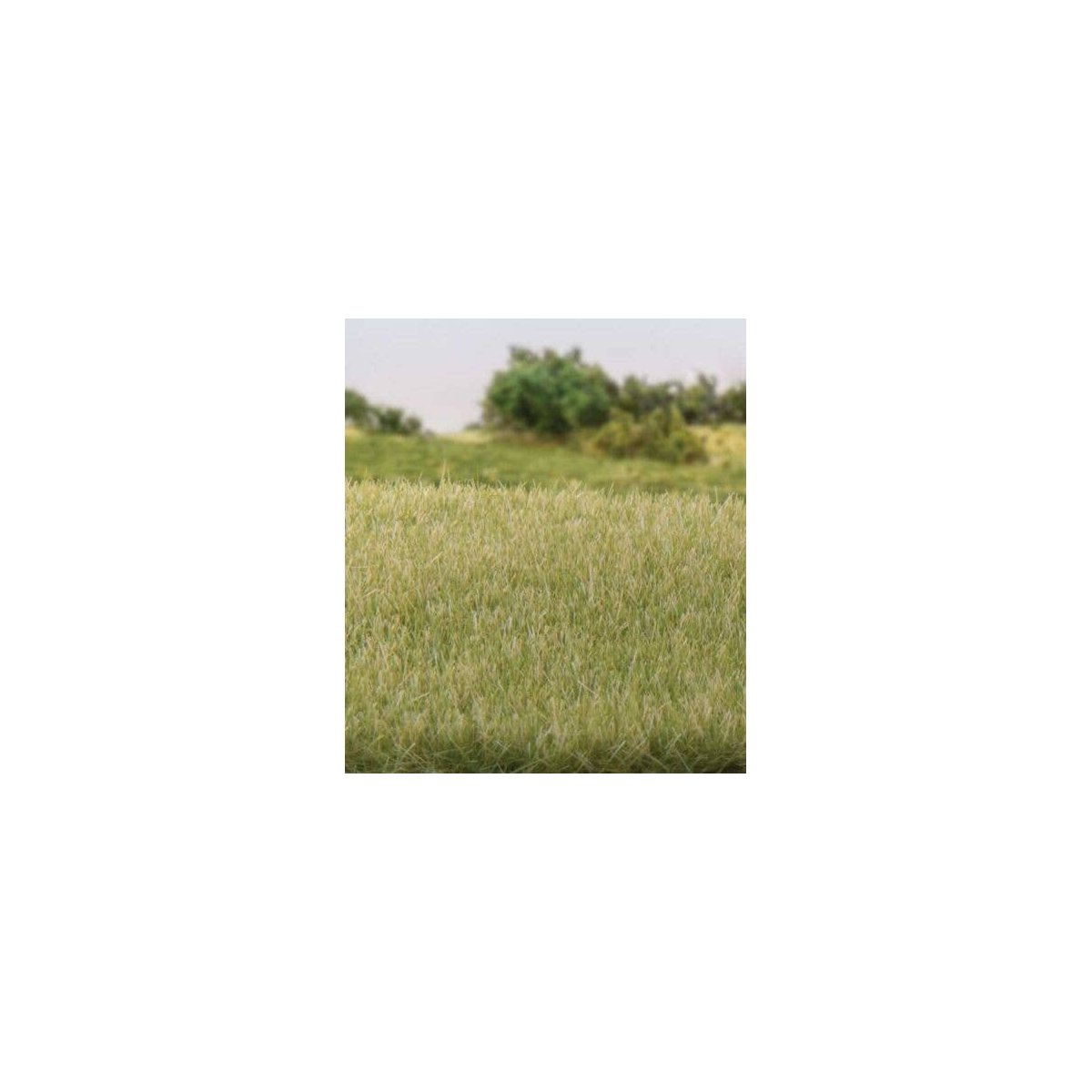 Static Grass - 5/32′ 4mm Tall - All Game Terrain -- Light Green, All Scales, Woodland Scenics 6571