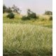 Static Grass 9/32′ 7mm Tall - All Game Terrain -- Light Green, All Scales, Woodland Scenics 6583