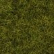 Wild Grass - 1/4′ .6cm Fibers in 3-1/2oz 100g Tub - Covers 1.2 Sq Yd 1 S -- Meadow, All Scales, Noch Gmbh & Co 7090