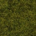 Wild Grass - 1/4′ .6cm Fibers in 3-1/2oz 100g Tub - Covers 1.2 Sq Yd 1 S -- Meadow, All Scales, Noch Gmbh & Co 7090