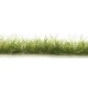 Peel `n` Plant Tufts - All Game Terrain -- Dark Green Edging, All Scales, Woodland Scenics 6645