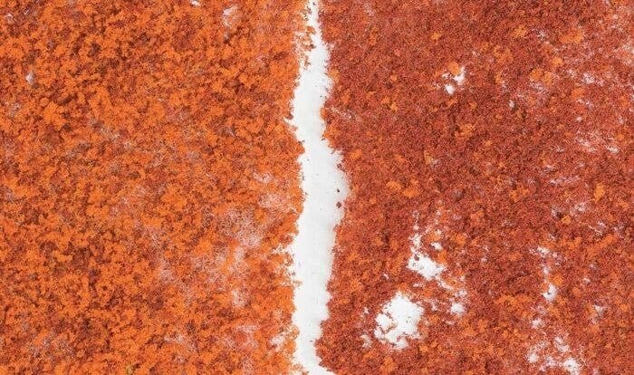 Foliage - 90.7 Square Inches 585 Square cm -- Late Fall Colors, All Scales, Woodland Scenics 56