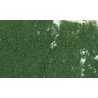 Foliage - 90.7 Square Inches 585 Square cm -- Dark Green, All Scales, Woodland Scenics 53