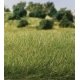 Static Grass 9/32′ 7mm Tall - All Game Terrain -- Medium Green, All Scales, Woodland Scenics 6584