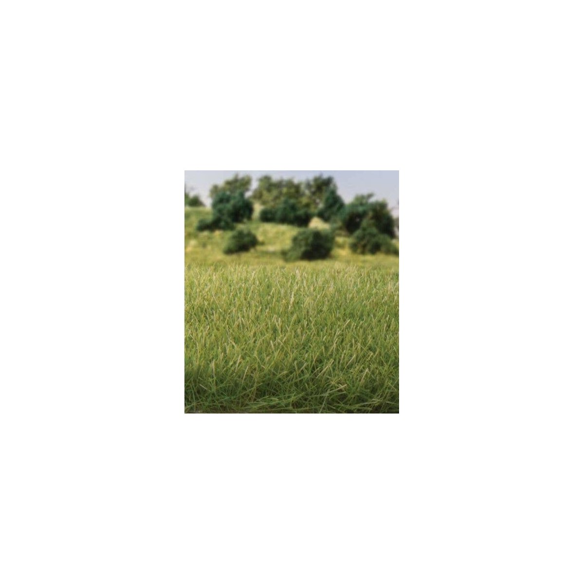Static Grass 9/32′ 7mm Tall - All Game Terrain -- Medium Green, All Scales, Woodland Scenics 6584