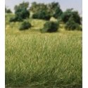 Static Grass 9/32′ 7mm Tall - All Game Terrain -- Medium Green, All Scales, Woodland Scenics 6584