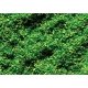 Scatter Material Ground Cover - 1oz 28.3g -- Spring Green, All Scales, Faller Gmbh 170702