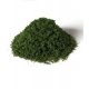 Weeds - All Game Terrain -- Summer Green, All Scales, Woodland Scenics 6450