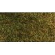 Wild Grass Pad - 11 x 5-1/2′ 27.4 x 14cm -- Savannah Green, All Scales, Heki/Mini Forest 1574