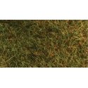 Wild Grass Pad - 11 x 5-1/2′ 27.4 x 14cm -- Savannah Green, All Scales, Heki/Mini Forest 1574