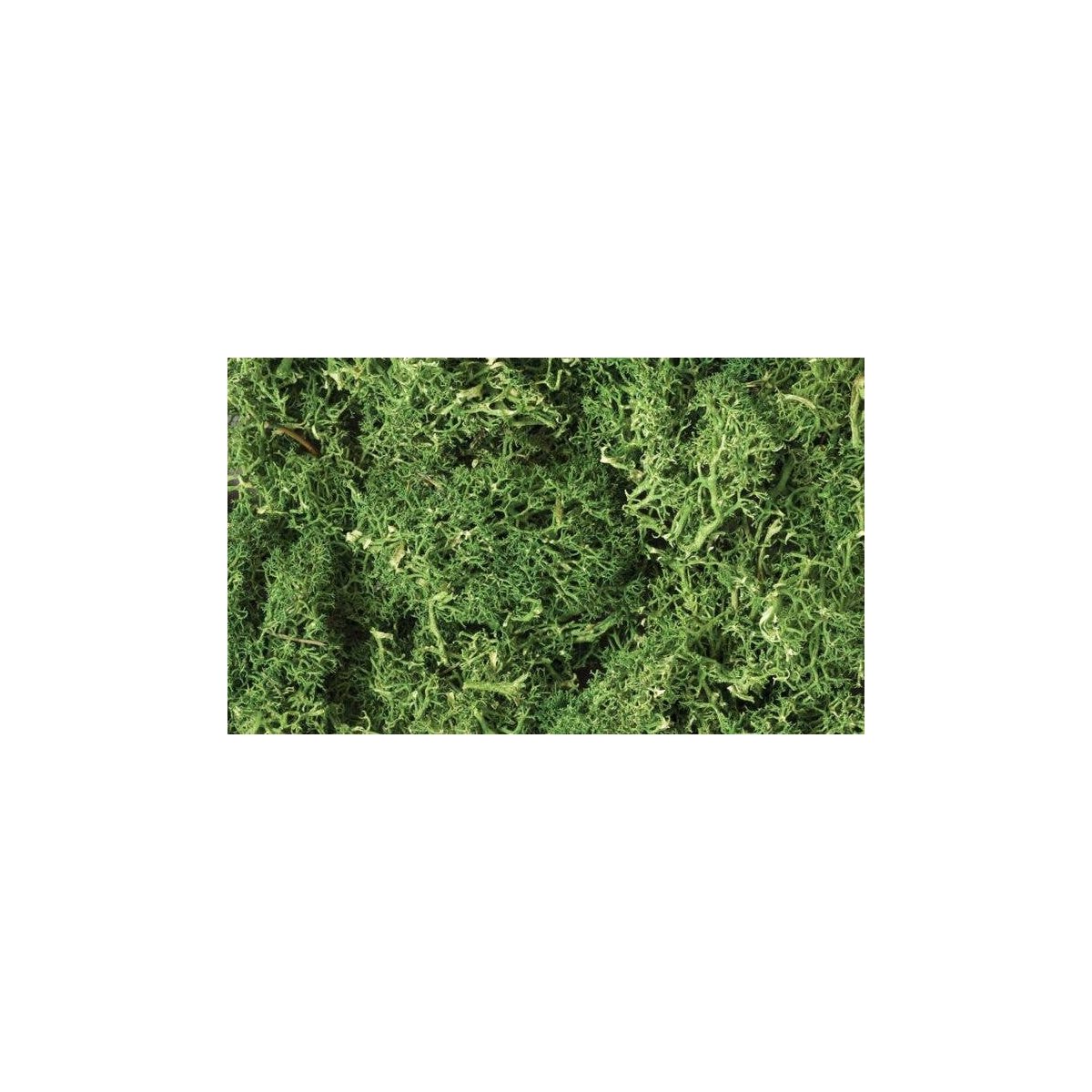 Lichen - 1.5qts 1.4L -- Medium Green, All Scales, Woodland Scenics 163