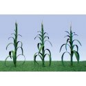 Corn Stalks -- 2′ 5cm Tall pkg(28), O, JTT Miniature Tree 95553
