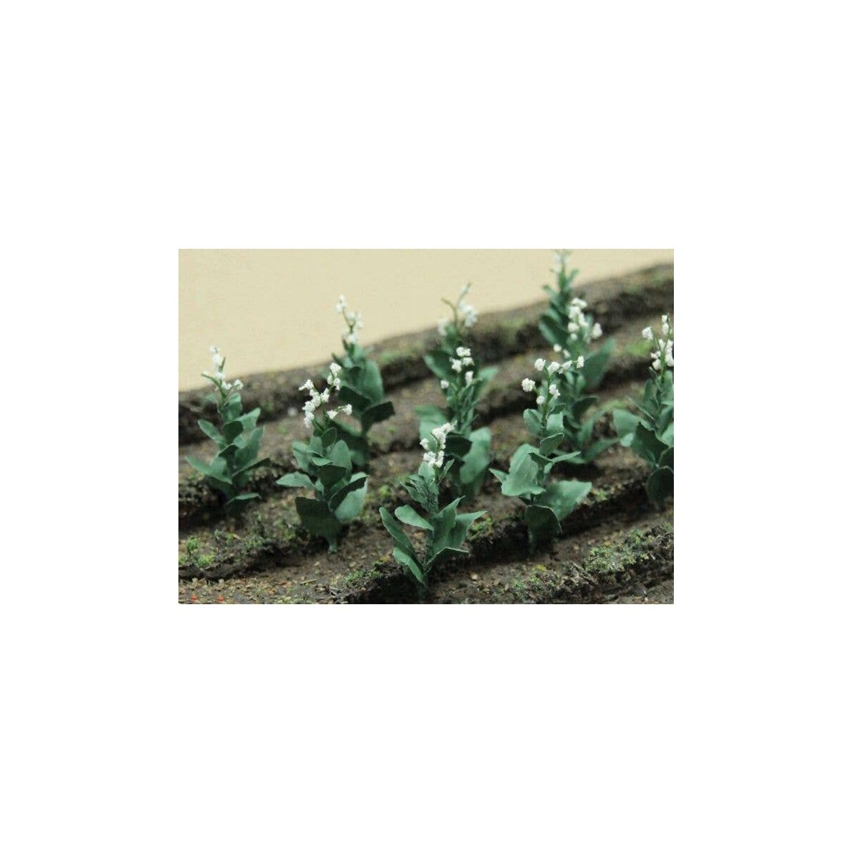 Tobacco Plants -- pkg(16), HO, JTT Miniature Tree 95586