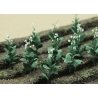 Tobacco Plants -- pkg(16), HO, JTT Miniature Tree 95586