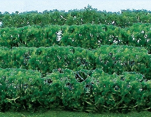 Flowering Hedges - 8 Pieces - Each 4-1/2 x 3/8 x 5/8′ 12 x 1 x 1.6cm -- Green, HO, JTT Miniature Tree 95515