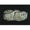 Rock Molds -- Washed Rock, All Scales, Woodland Scenics 1242