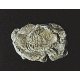 Rock Molds - 5 x 7′ 12.7 x 17.7cm -- Wind Rock, All Scales, Woodland Scenics 1237
