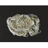 Rock Molds - 5 x 7′ 12.7 x 17.7cm -- Wind Rock, All Scales, Woodland Scenics 1237