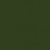Railroad Color Acrylic Paints - 1oz 29.6mL -- Northern Pacific 1947 Passenger Light Green (Pine Tree or Butterknife Schemes), AL