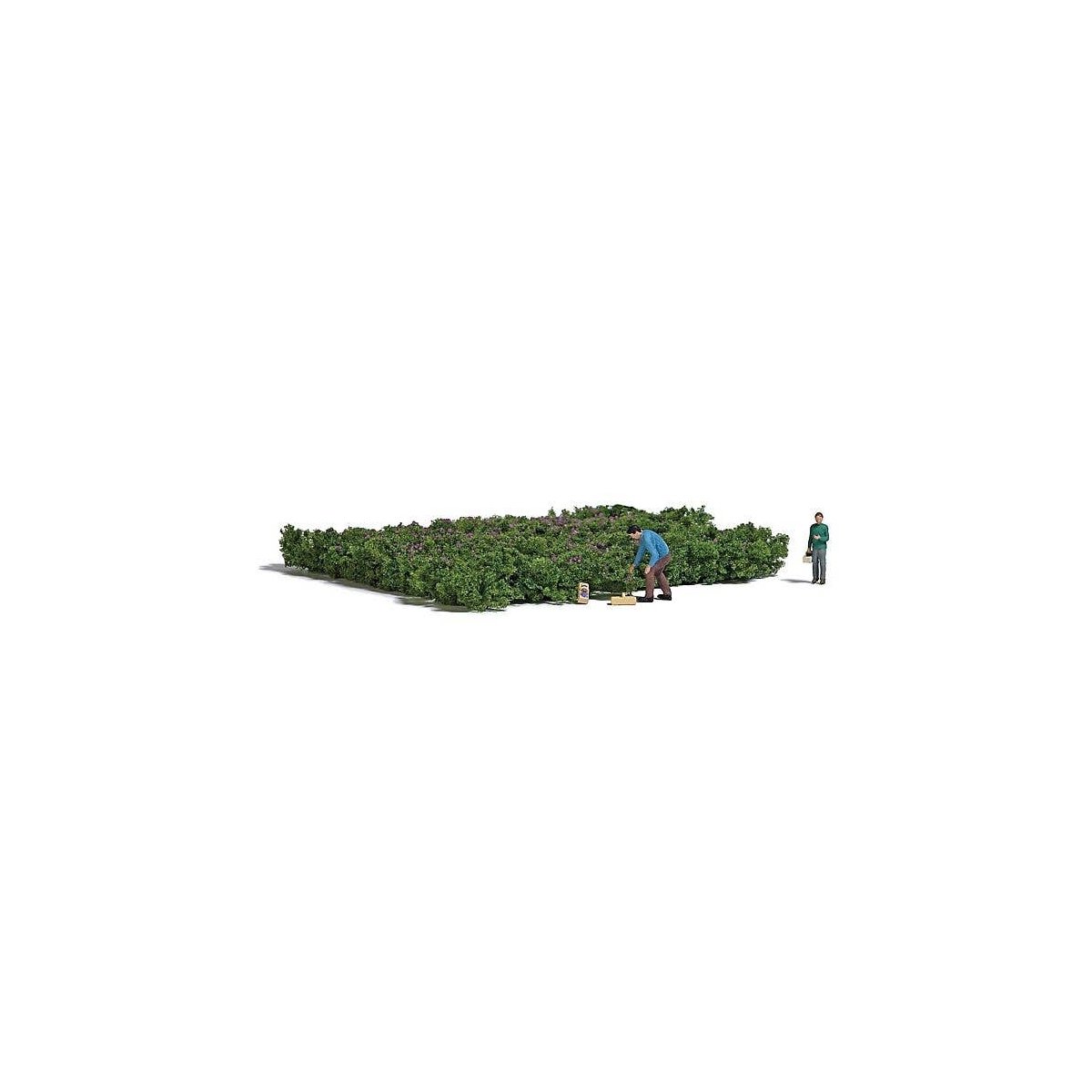 Picking Forest Blueberries - Action Set -- 2 Figures, 2-3/4 x 2-1/4′ 8 x 7cm Blueberry Patch,, HO, Busch Gmbh & Co Kg 7956