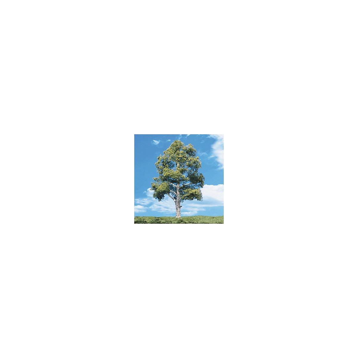 Woodland Classic Trees(R) Ready Made - Waters Edge -- 3 to 4′ 7.6 to 10.1cm Tall pkg(3), All Scales, Woodland Scenics 3534
