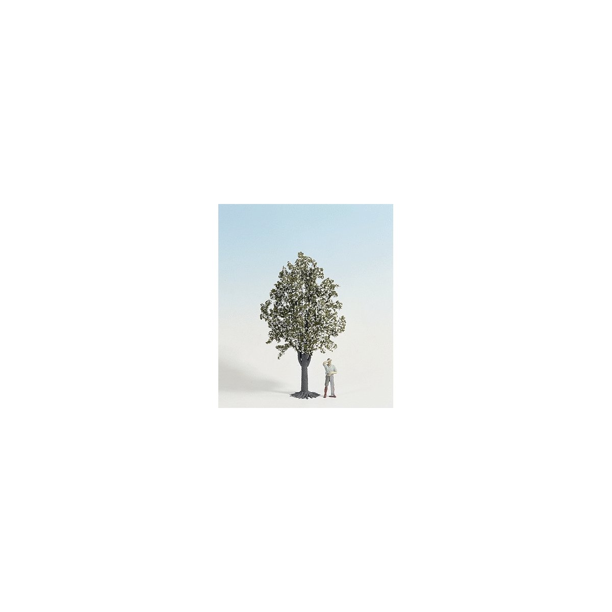 Fruit Trees -- White Flowering 30cm, G, Noch Gmbh & Co 68022