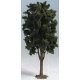 Deciduous Tree -- 13-1/2′ 33.7cm Tall, G, Noch Gmbh & Co 68030