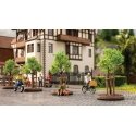 Young Trees w/Supports -- 4cm Tall 1-9/16′ pkg(6), HO, Noch Gmbh & Co 21538