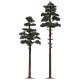 Pine Trees -- 6-7/8 & 8-1/4′ 17.5 & 21cm pkg(2), HO, Busch Gmbh & Co Kg 6144