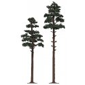 Pine Trees -- 6-7/8 & 8-1/4′ 17.5 & 21cm pkg(2), HO, Busch Gmbh & Co Kg 6144