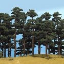 Pine Trees -- 5-1/8 & 5-3/4′ 13 & 14.5cm pkg(2), HO, Busch Gmbh & Co Kg 6141