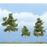 Ready Made Premium Trees(TM) - Deciduous -- Paper Birch One Each: 1-1/2, 2-1/4 & 2-3/4′ , All Scales, Woodland Scenics 1605